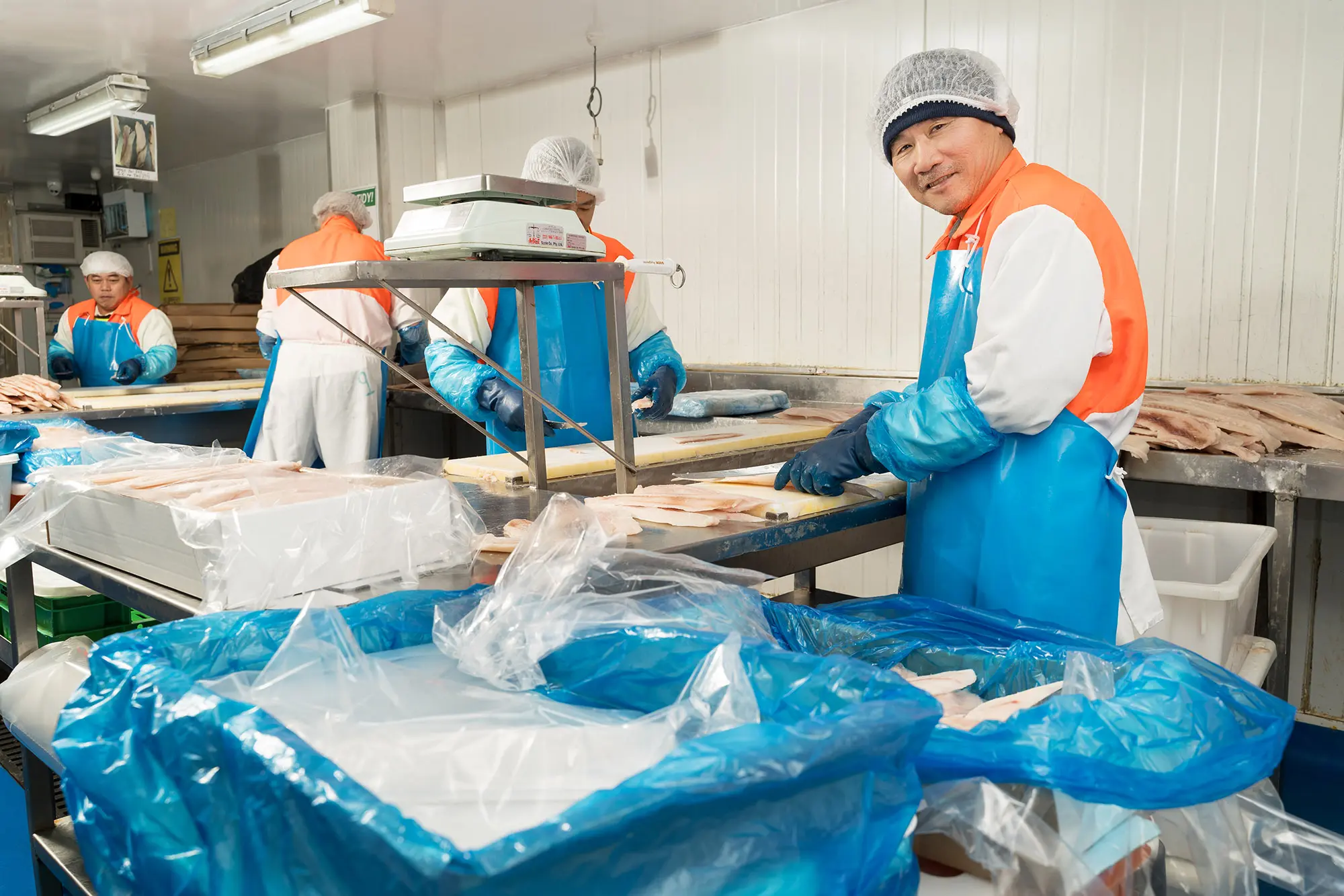 Stambo's team processing fish fillets on the factory floor