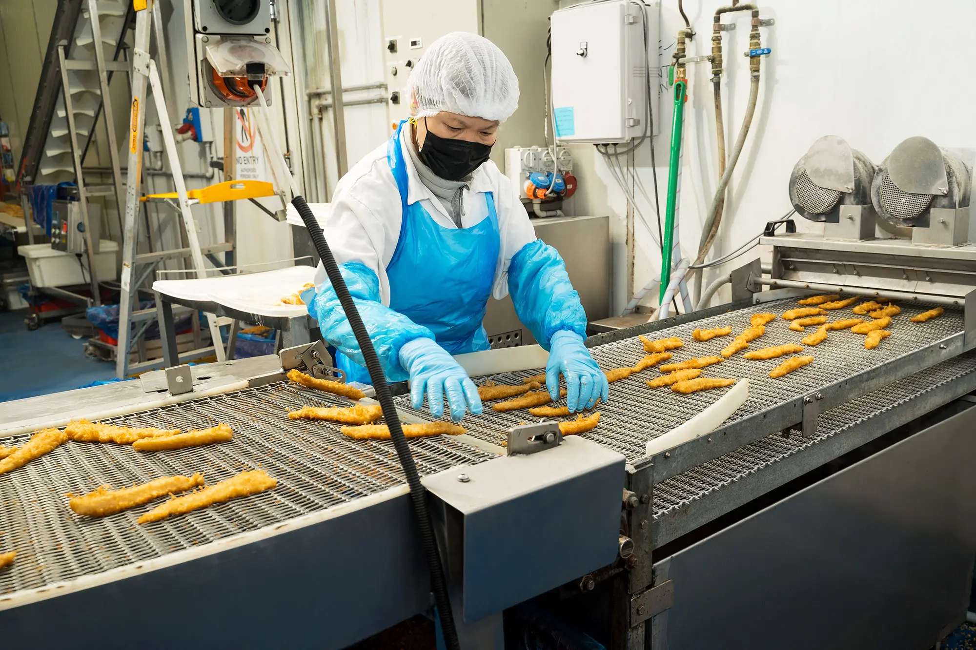 Quality control on the crumbed seafood production line