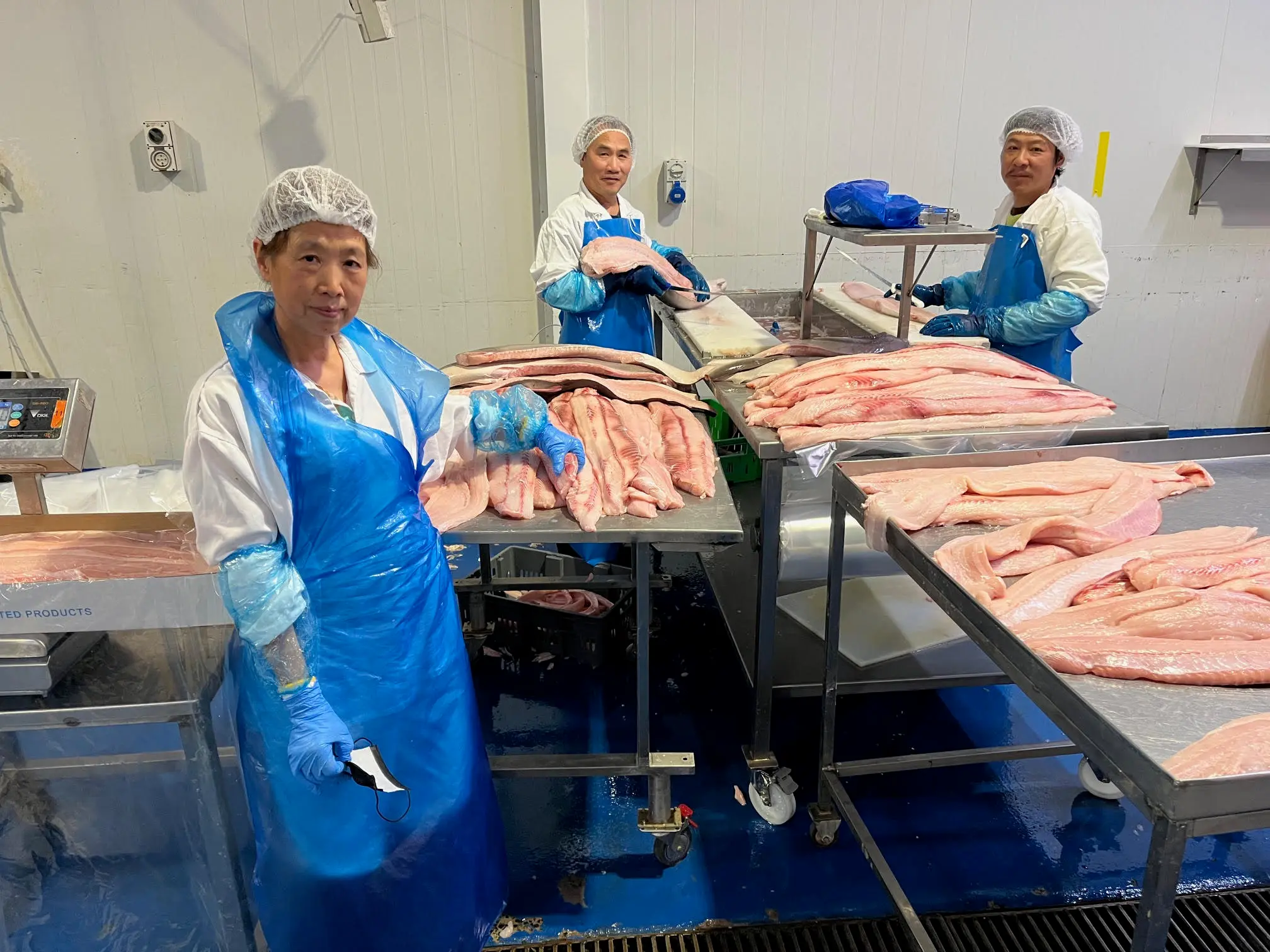 Workers processing fresh fish fillets in the facility